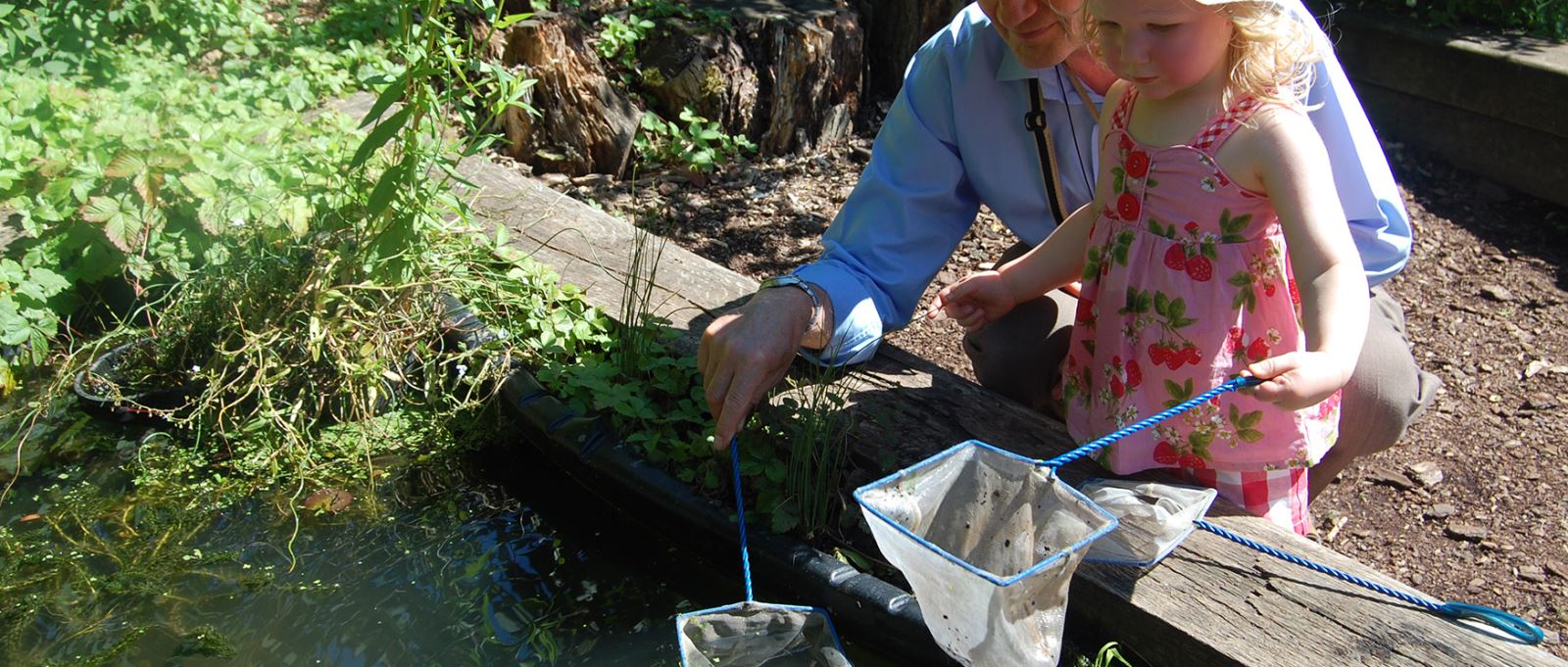 Pond dipping at Sir Harold Hillier Gardens